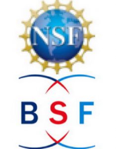 Read more about the article Research Grants Winners – NFS-BSF