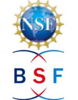 Research Grants Winners – NFS-BSF